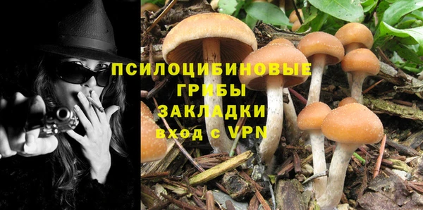 не бодяженный Алзамай
