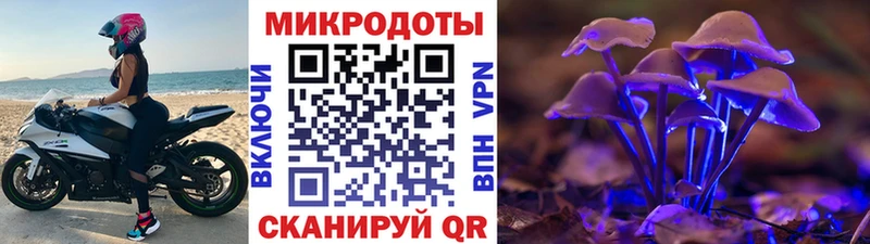 Псилоцибиновые грибы Psilocybe  Ардатов 