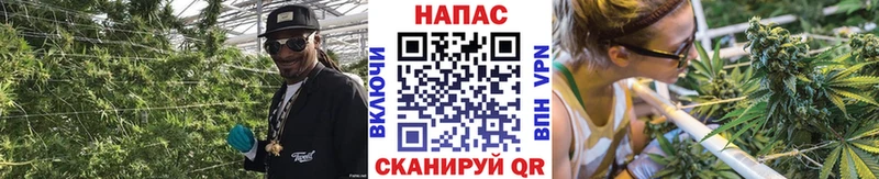Каннабис индика  Ардатов 